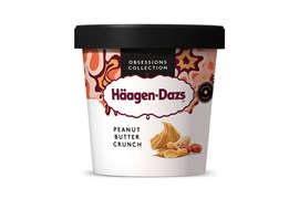 Häagen-Dazs Peanut Butter Crunch ice cream 460ml/400g