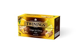 Twinings Ginger & Citrus maustettu tee 25x2g