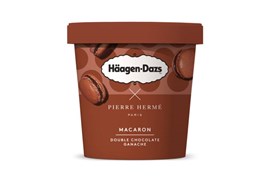 Häagen-Dazs Macaron Double Chocolate Ganache 420ml
